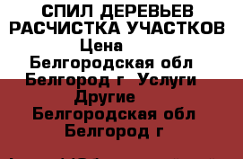 СПИЛ ДЕРЕВЬЕВ РАСЧИСТКА УЧАСТКОВ  › Цена ­ 100 - Белгородская обл., Белгород г. Услуги » Другие   . Белгородская обл.,Белгород г.